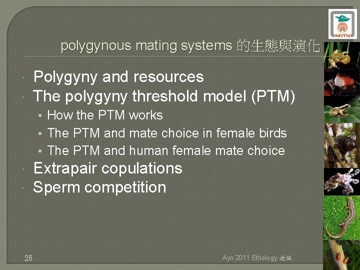 polygynous mating systems 的生態與演化 Polygyny and resources The polygyny threshold model (PTM) • How