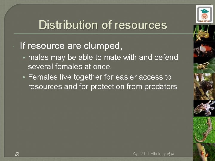 Distribution of resources If resource are clumped, • males may be able to mate