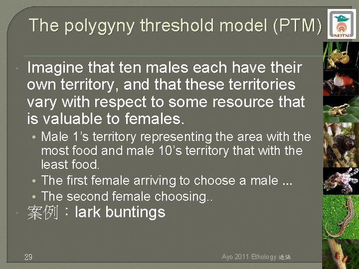 The polygyny threshold model (PTM) Imagine that ten males each have their own territory,