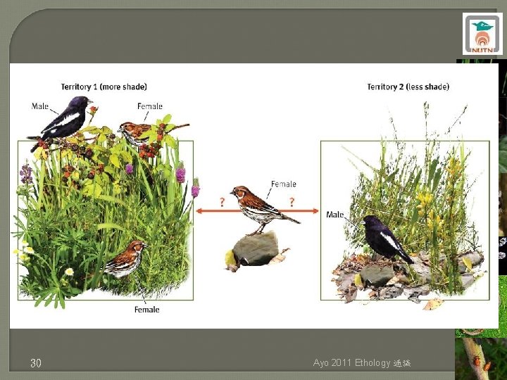 30 Ayo 2011 Ethology 通識 