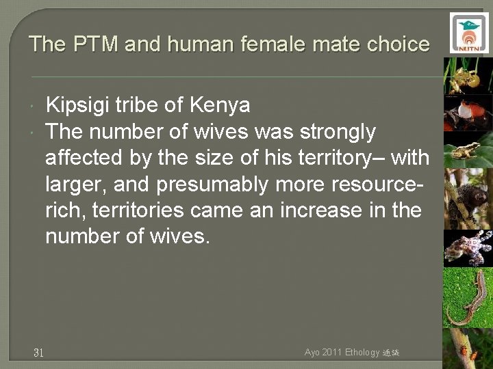 The PTM and human female mate choice 31 Kipsigi tribe of Kenya The number