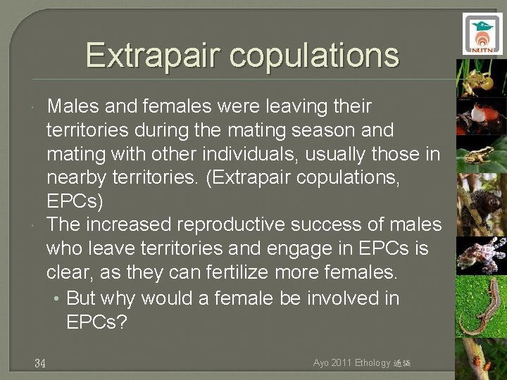 Extrapair copulations 34 Males and females were leaving their territories during the mating season