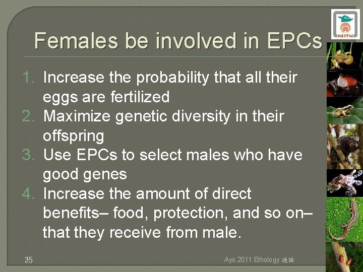 Females be involved in EPCs 1. Increase the probability that all their eggs are