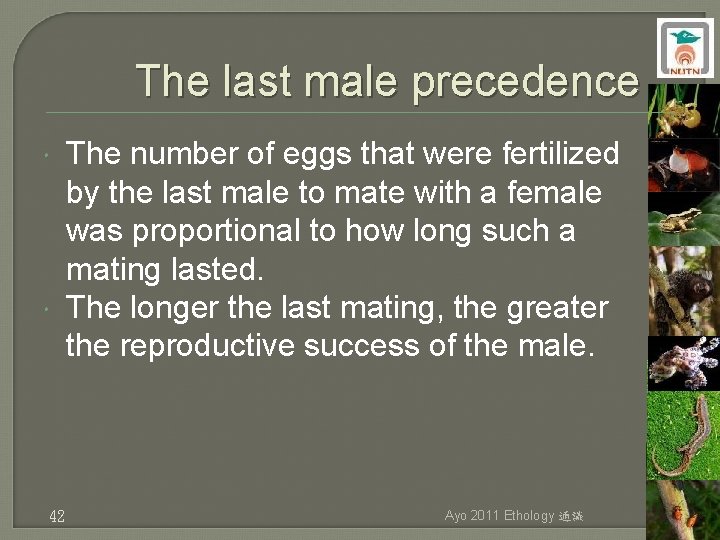 The last male precedence 42 The number of eggs that were fertilized by the