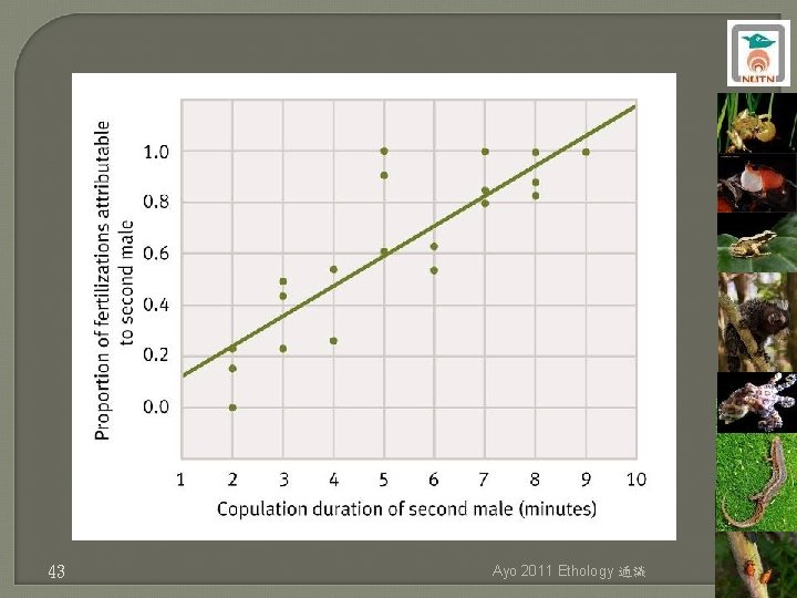 43 Ayo 2011 Ethology 通識 