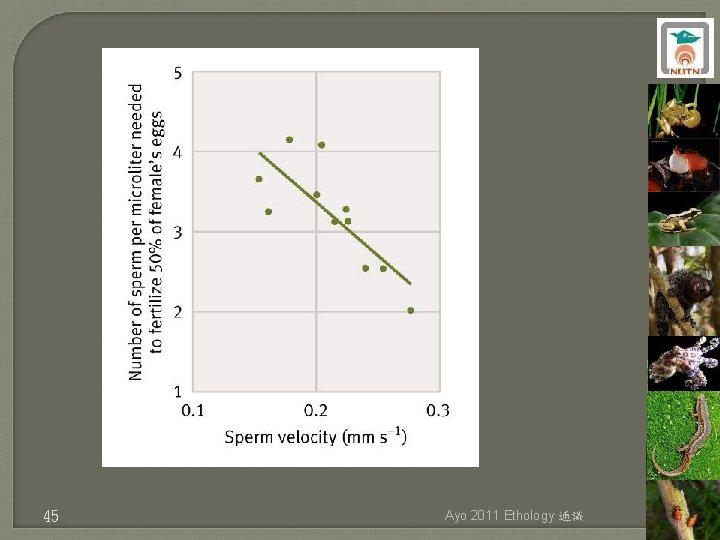 45 Ayo 2011 Ethology 通識 