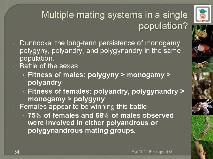 Multiple mating systems in a single population? Dunnocks: the long-term persistence of monogamy, polygyny,