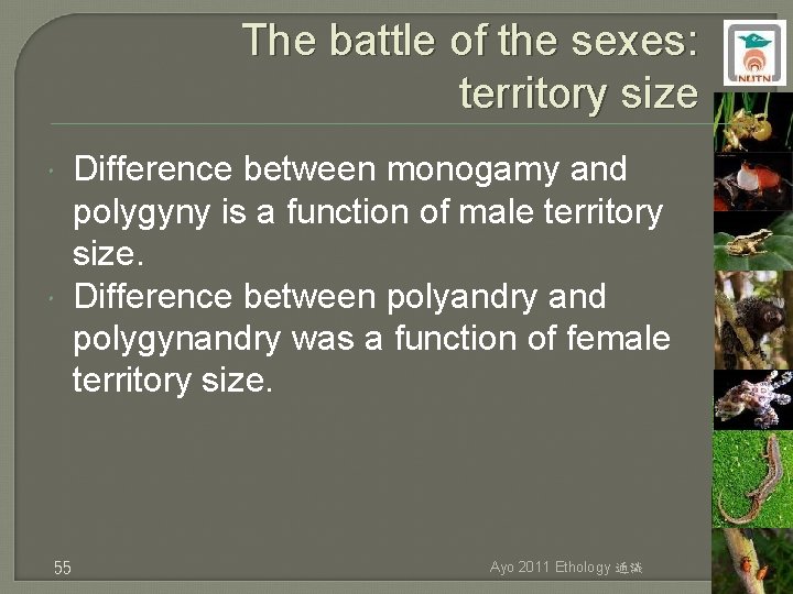 The battle of the sexes: territory size 55 Difference between monogamy and polygyny is