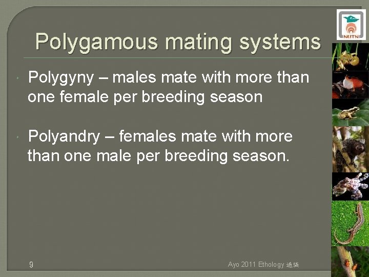 Polygamous mating systems Polygyny – males mate with more than one female per breeding