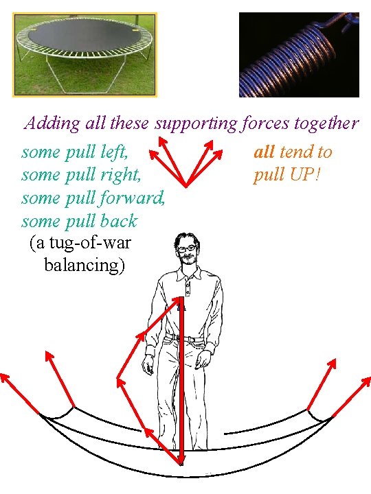 Adding all these supporting forces together some pull left, all tend to some pull