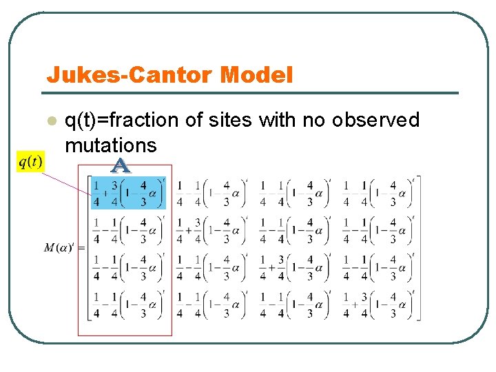 Jukes-Cantor Model l q(t)=fraction of sites with no observed mutations 