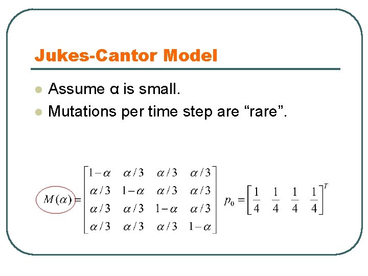 Jukes-Cantor Model l l Assume α is small. Mutations per time step are “rare”.