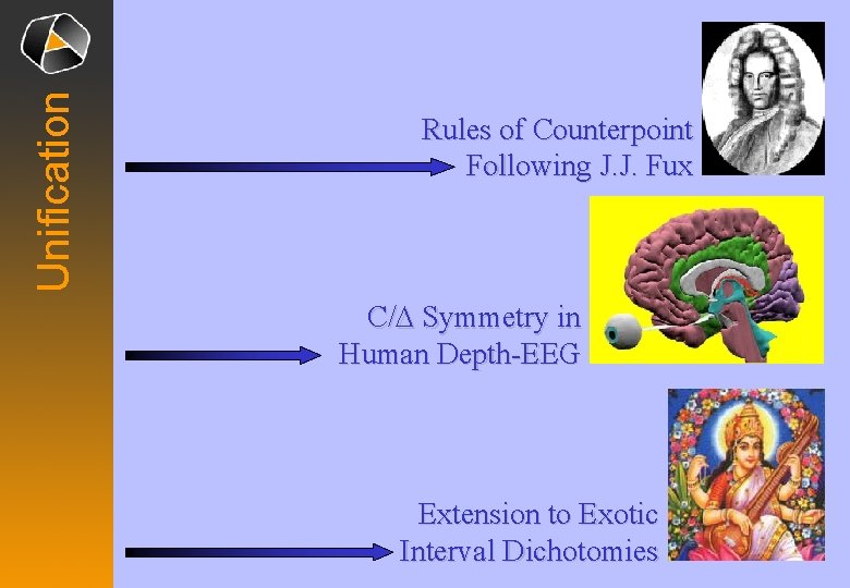 Unification Rules of Counterpoint Following J. J. Fux C/D Symmetry in Human Depth-EEG Extension