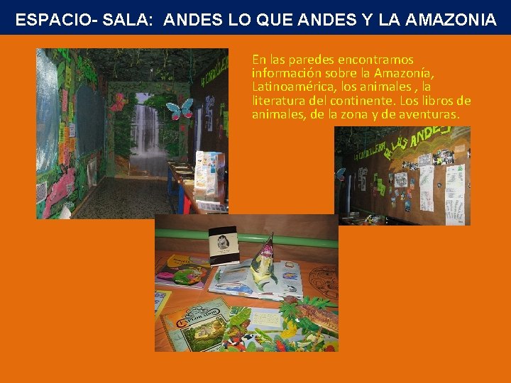ESPACIO- SALA: ANDES LO QUE ANDES Y LA AMAZONIA En las paredes encontramos información