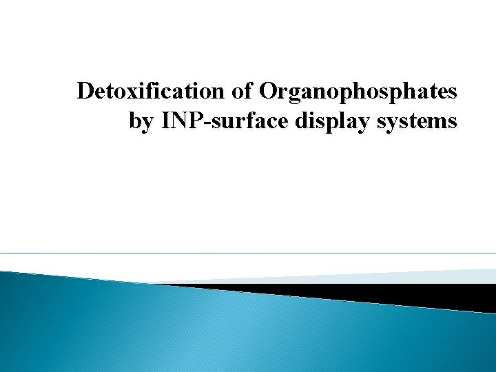 Detoxification of Organophosphates by INP-surface display systems 