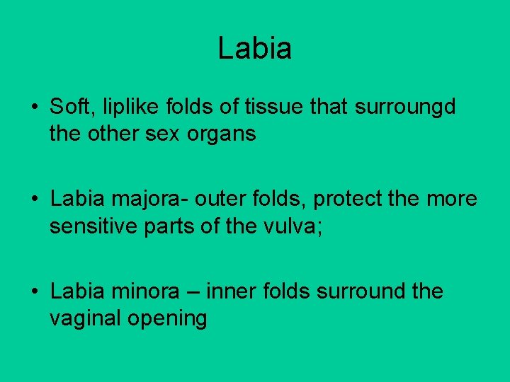 Labia • Soft, liplike folds of tissue that surroungd the other sex organs • Labia • Soft, liplike folds of tissue that surroungd the other sex organs •