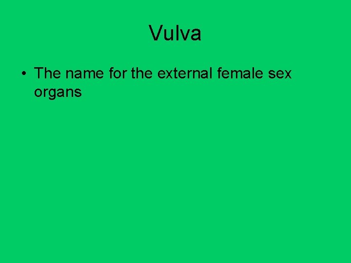 Vulva • The name for the external female sex organs Vulva • The name for the external female sex organs