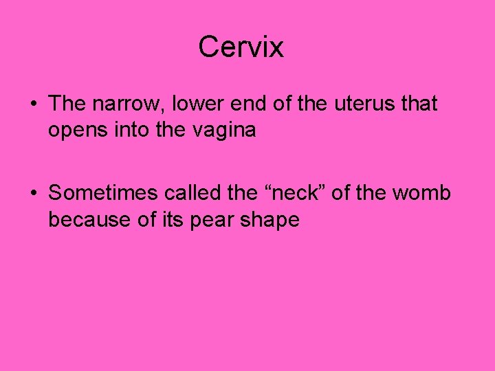Cervix • The narrow, lower end of the uterus that opens into the vagina Cervix • The narrow, lower end of the uterus that opens into the vagina