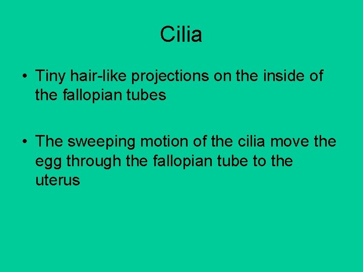Cilia • Tiny hair-like projections on the inside of the fallopian tubes • The Cilia • Tiny hair-like projections on the inside of the fallopian tubes • The