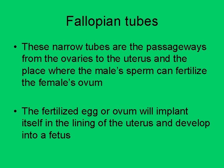 Fallopian tubes • These narrow tubes are the passageways from the ovaries to the Fallopian tubes • These narrow tubes are the passageways from the ovaries to the