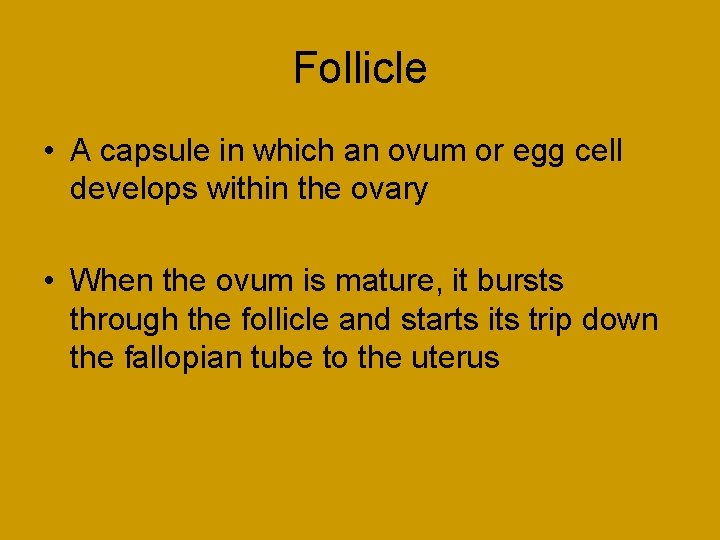 Follicle • A capsule in which an ovum or egg cell develops within the Follicle • A capsule in which an ovum or egg cell develops within the