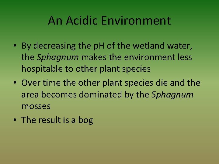 An Acidic Environment • By decreasing the p. H of the wetland water, the