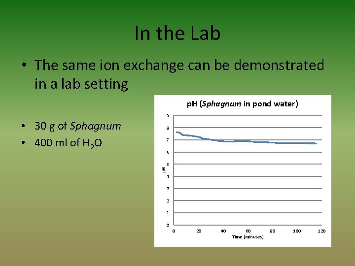 In the Lab • The same ion exchange can be demonstrated in a lab