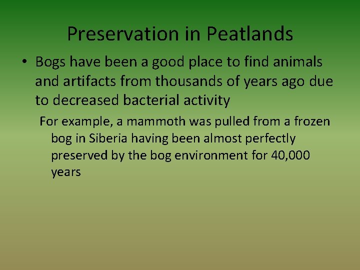 Preservation in Peatlands • Bogs have been a good place to find animals and