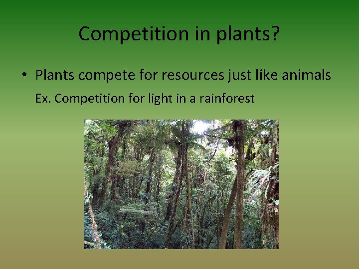 Competition in plants? • Plants compete for resources just like animals Ex. Competition for