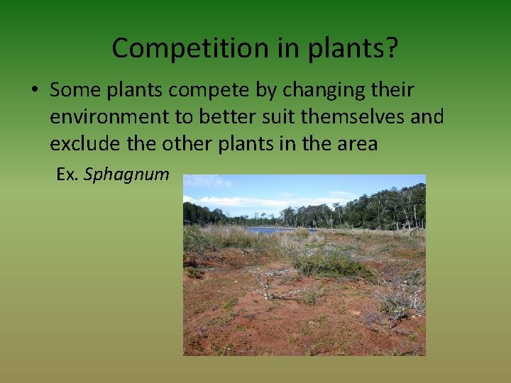 Competition in plants? • Some plants compete by changing their environment to better suit