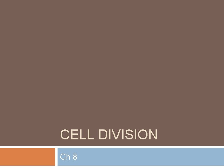 CELL DIVISION Ch 8 
