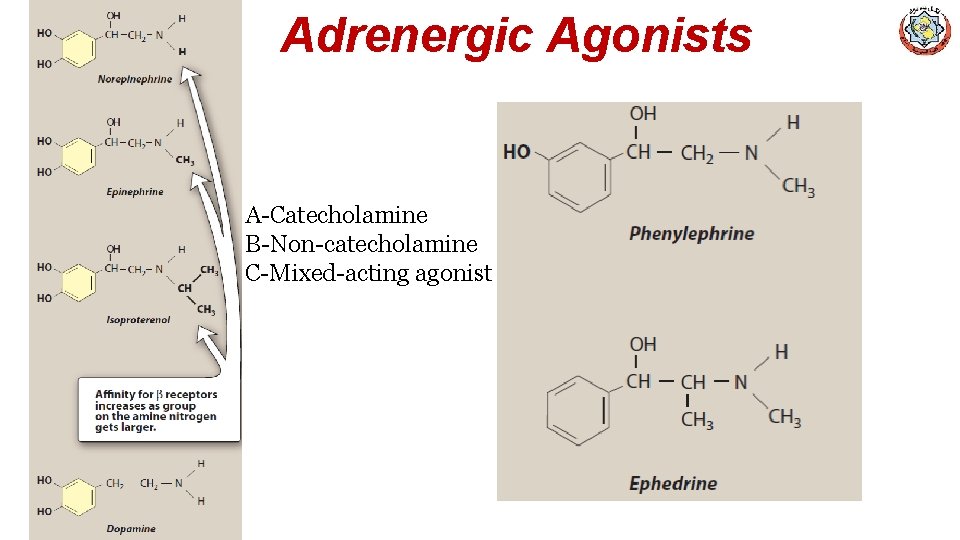 Adrenergic Agonists A-Catecholamine B-Non-catecholamine C-Mixed-acting agonist 
