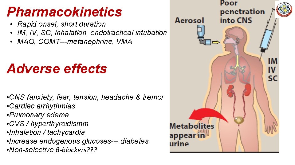 Pharmacokinetics • Rapid onset, short duration • IM, IV, SC, inhalation, endotracheal intubation •