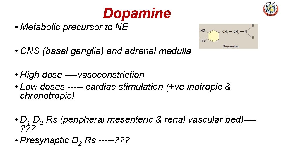 Dopamine • Metabolic precursor to NE • CNS (basal ganglia) and adrenal medulla •