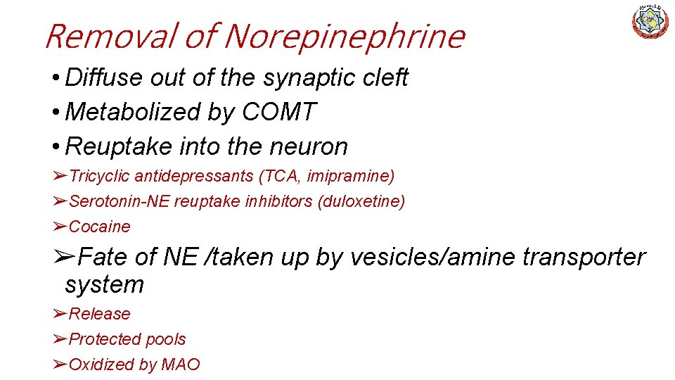 Removal of Norepinephrine • Diffuse out of the synaptic cleft • Metabolized by COMT