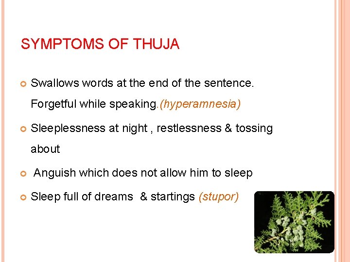 SYMPTOMS OF THUJA Swallows words at the end of the sentence. Forgetful while speaking. SYMPTOMS OF THUJA Swallows words at the end of the sentence. Forgetful while speaking.
