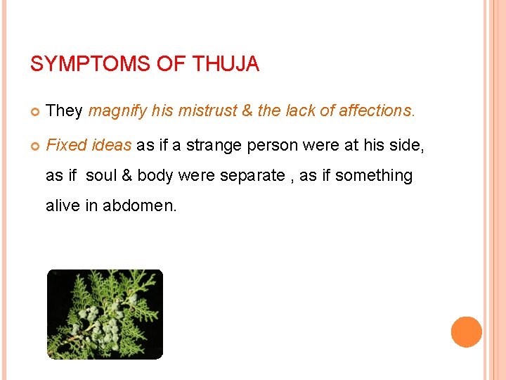SYMPTOMS OF THUJA They magnify his mistrust & the lack of affections. Fixed ideas