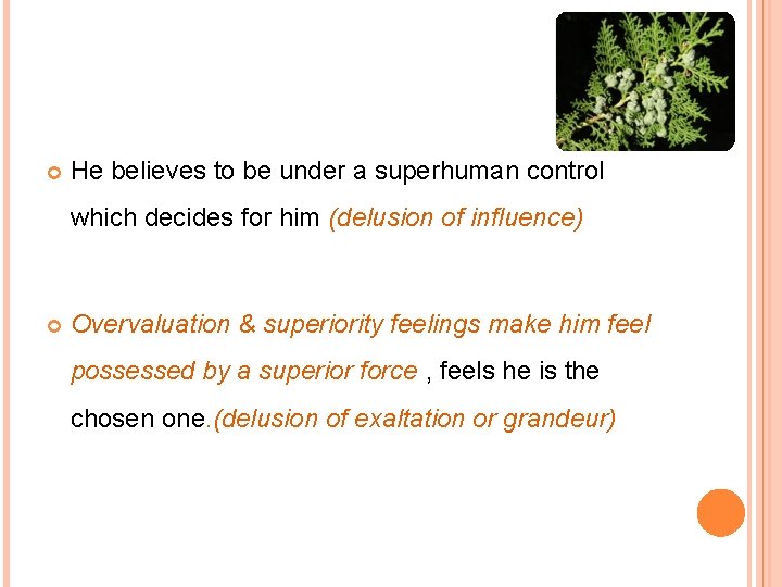  He believes to be under a superhuman control which decides for him (delusion