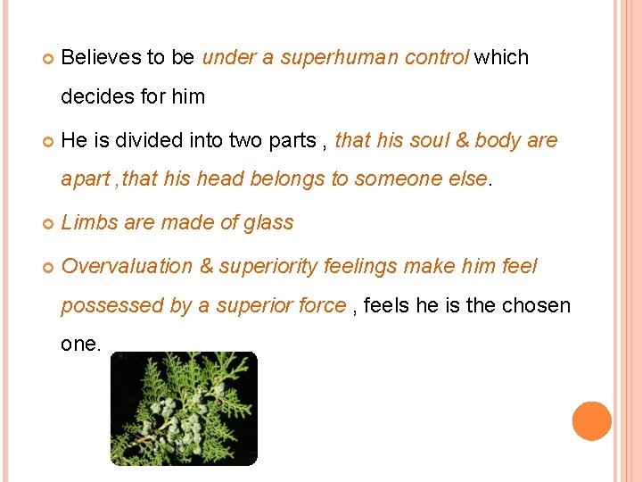  Believes to be under a superhuman control which decides for him He is