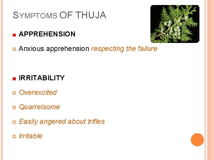 SYMPTOMS OF THUJA APPREHENSION Anxious apprehension respecting the failure IRRITABILITY Overexcited Quarrelsome Easily angered