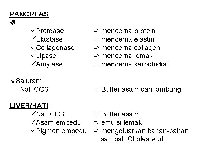 PANCREAS üProtease üElastase üCollagenase üLipase üAmylase mencerna protein mencerna elastin mencerna collagen mencerna lemak