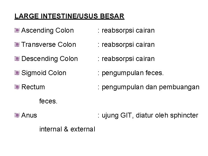 LARGE INTESTINE/USUS BESAR Ascending Colon : reabsorpsi cairan Transverse Colon : reabsorpsi cairan Descending