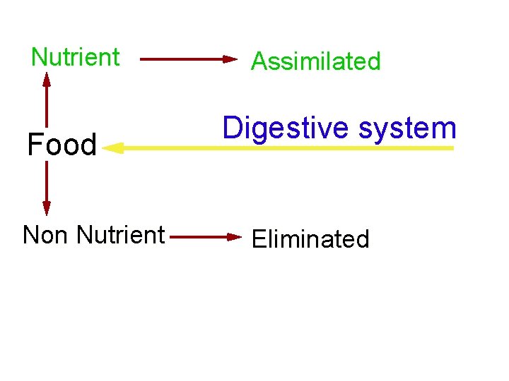 Nutrient Food Non Nutrient Assimilated Digestive system Eliminated 