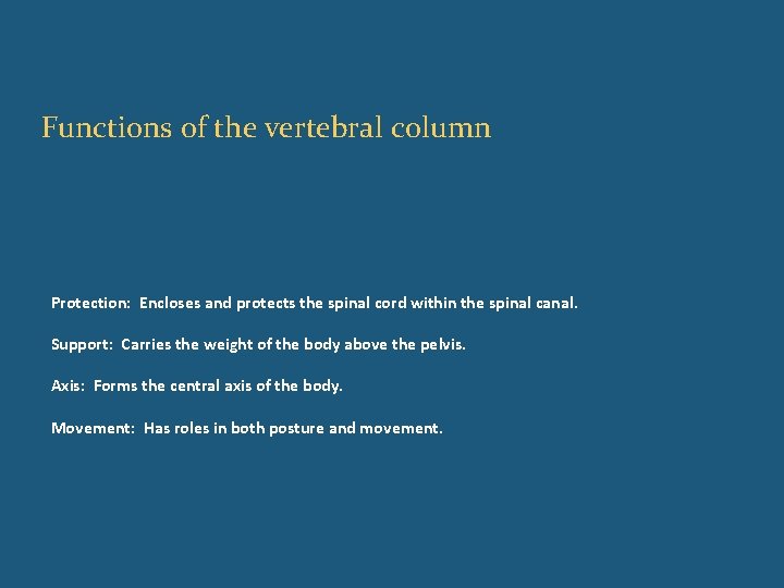 Functions of the vertebral column Protection: Encloses and protects the spinal cord within the