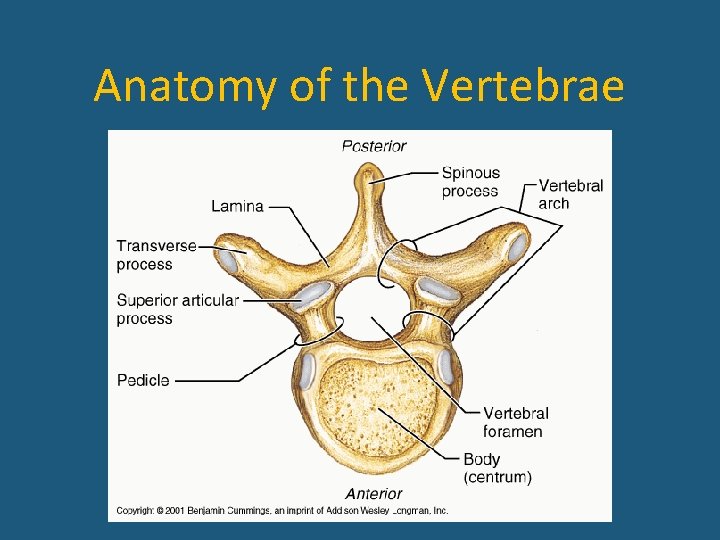 icd 10 code soft tissue injury anterior thorax