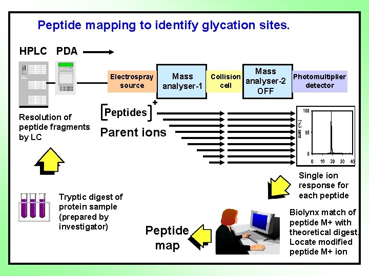 Peptide mapping to identify sites glycation of protein sites. modification Mass spectrometer HPLC PDA