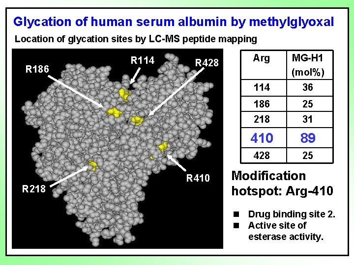 Glycation of human serum albumin by methylglyoxal Location of glycation sites by LC-MS peptide