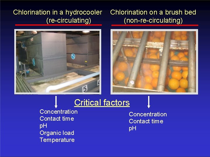 Chlorination in a hydrocooler (re-circulating) Chlorination on a brush bed (non-re-circulating) Critical factors Concentration