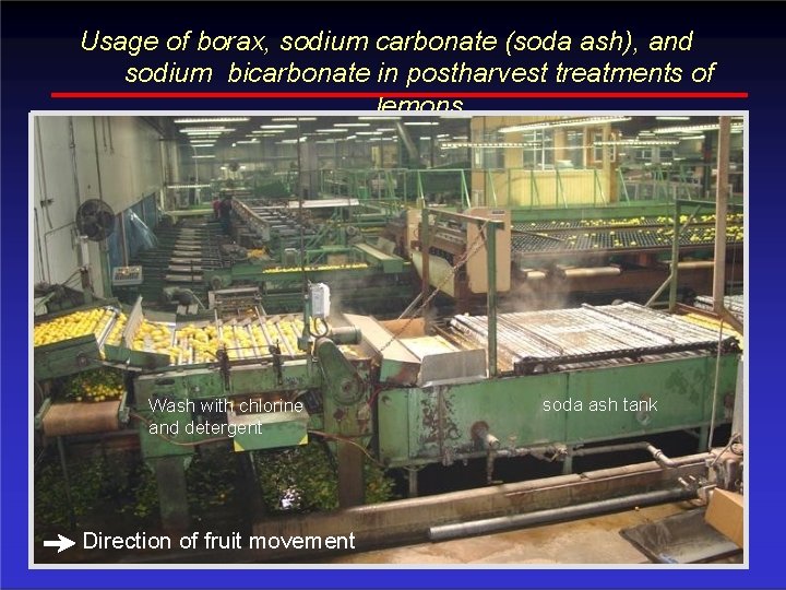 Usage of borax, sodium carbonate (soda ash), and sodium bicarbonate in postharvest treatments of