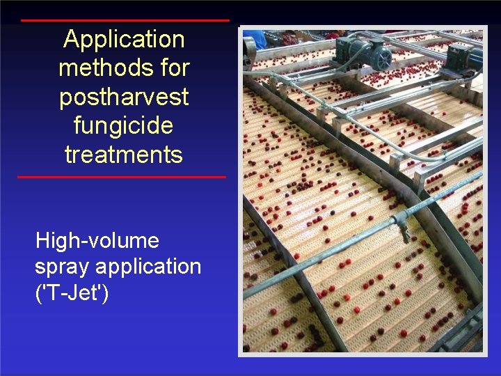 Application methods for postharvest fungicide treatments High-volume spray application ('T-Jet') 